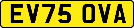 EV75OVA