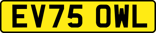 EV75OWL