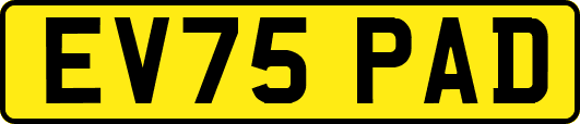 EV75PAD