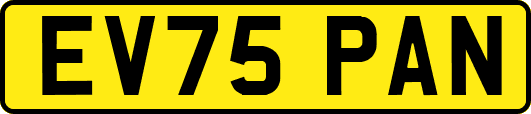 EV75PAN