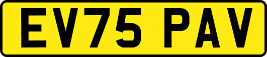 EV75PAV