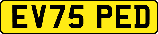 EV75PED