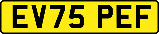 EV75PEF