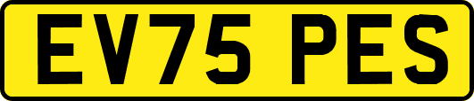 EV75PES