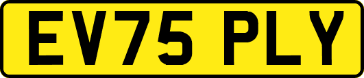 EV75PLY