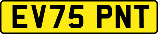 EV75PNT