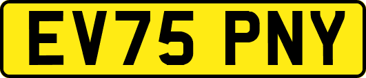 EV75PNY