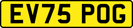 EV75POG
