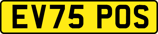 EV75POS