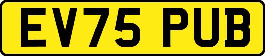 EV75PUB
