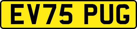 EV75PUG