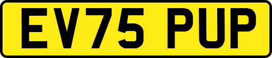 EV75PUP