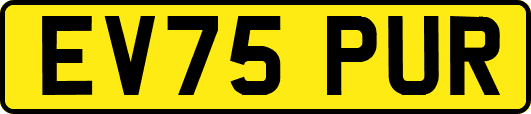 EV75PUR