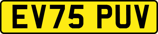 EV75PUV