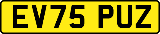 EV75PUZ
