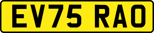 EV75RAO