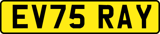 EV75RAY