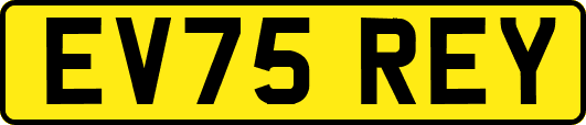 EV75REY