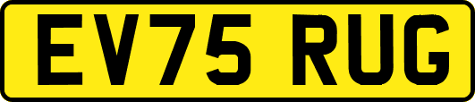 EV75RUG
