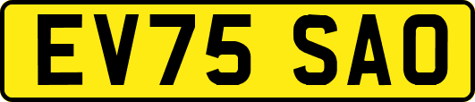 EV75SAO