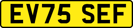 EV75SEF