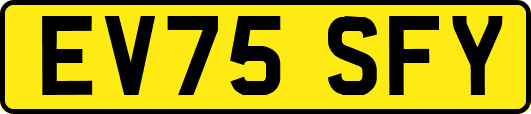 EV75SFY