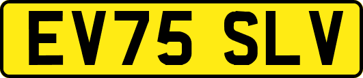 EV75SLV