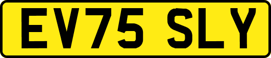 EV75SLY