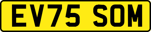 EV75SOM