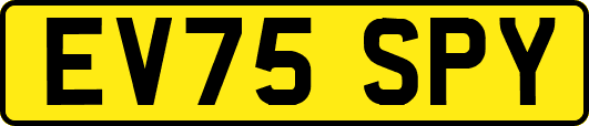 EV75SPY
