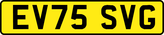 EV75SVG
