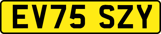 EV75SZY