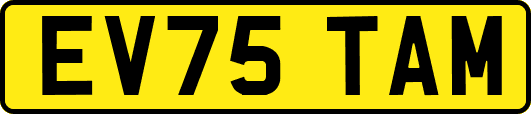 EV75TAM
