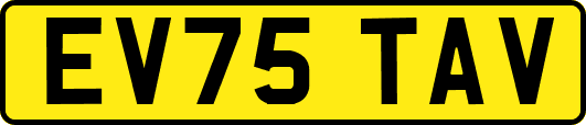 EV75TAV