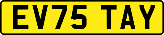 EV75TAY