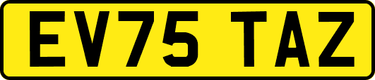 EV75TAZ