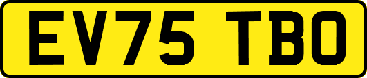 EV75TBO