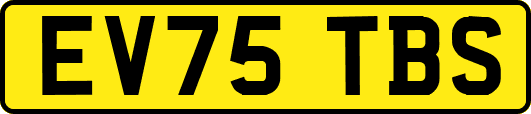 EV75TBS