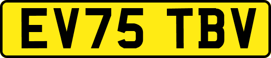 EV75TBV