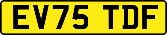 EV75TDF