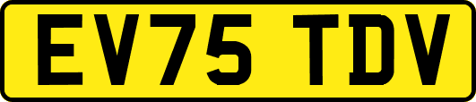 EV75TDV