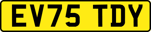 EV75TDY