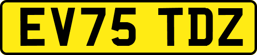 EV75TDZ