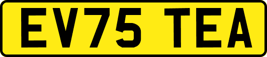 EV75TEA