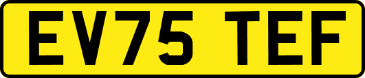 EV75TEF