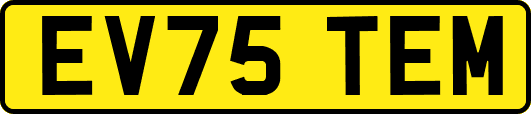 EV75TEM