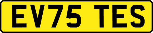 EV75TES