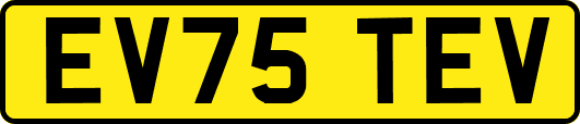 EV75TEV
