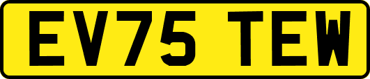 EV75TEW
