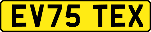 EV75TEX